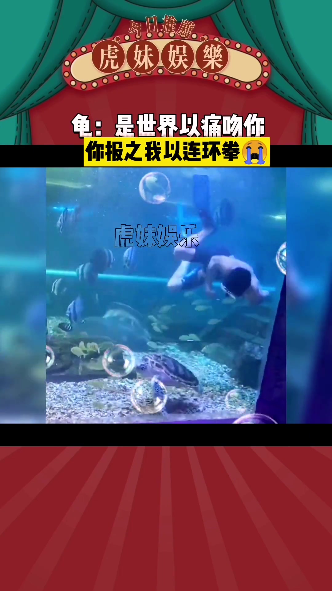 海龟:你搁这儿敲木鱼呢 哈哈哈哈哈哈哈哈哈 没忍住笑出了声 脑瓜子又嗡嗡的了吧