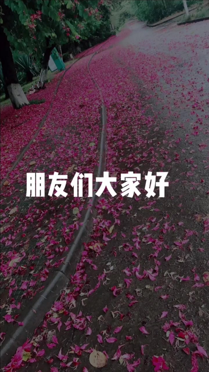 大麦若叶青汁:吃红枣的注意事项:第一感冒咳嗽不能吃。感冒咳嗽的时候,基本会伴随着嗓子干痒痛