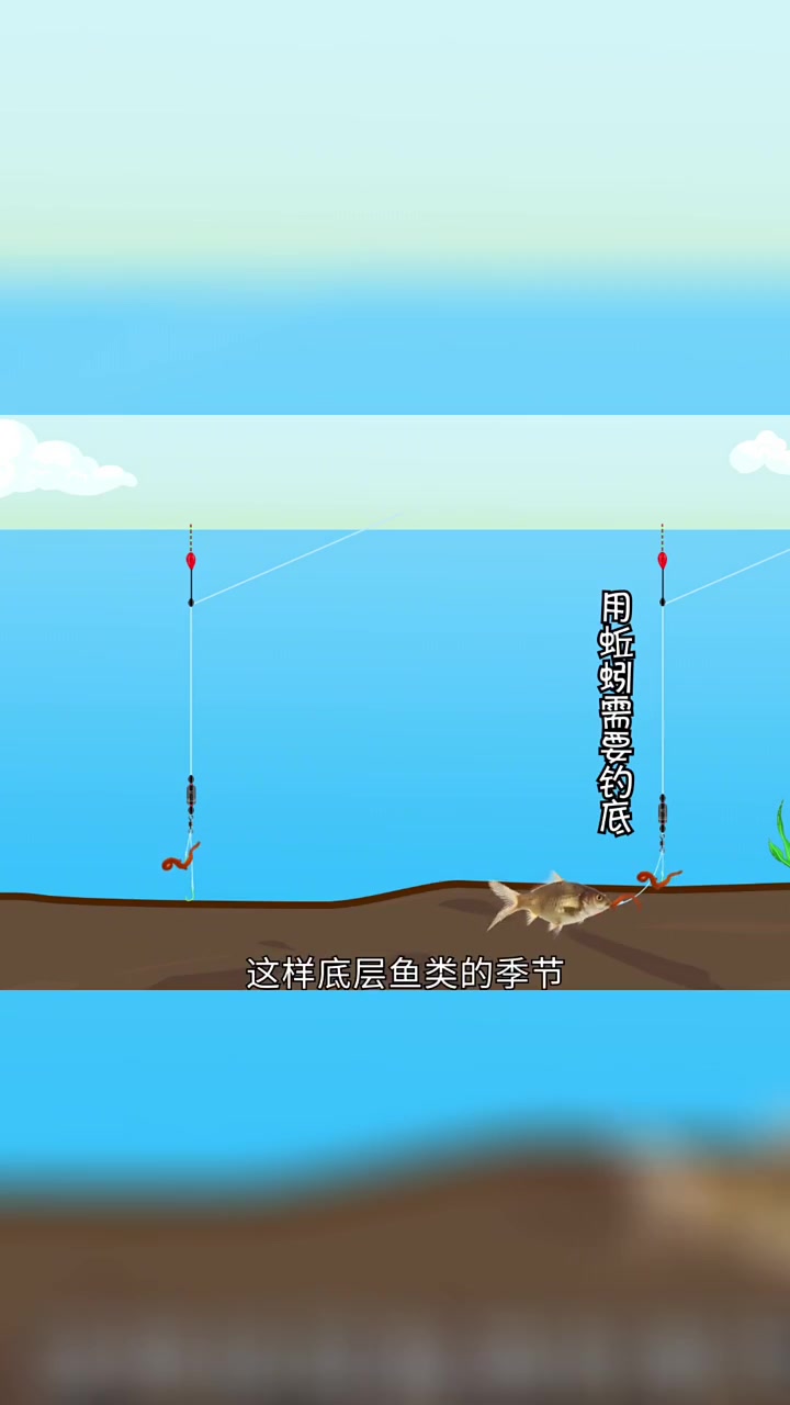 蚯蚓万能饵料,喜欢用蚯蚓的可以学习一下!