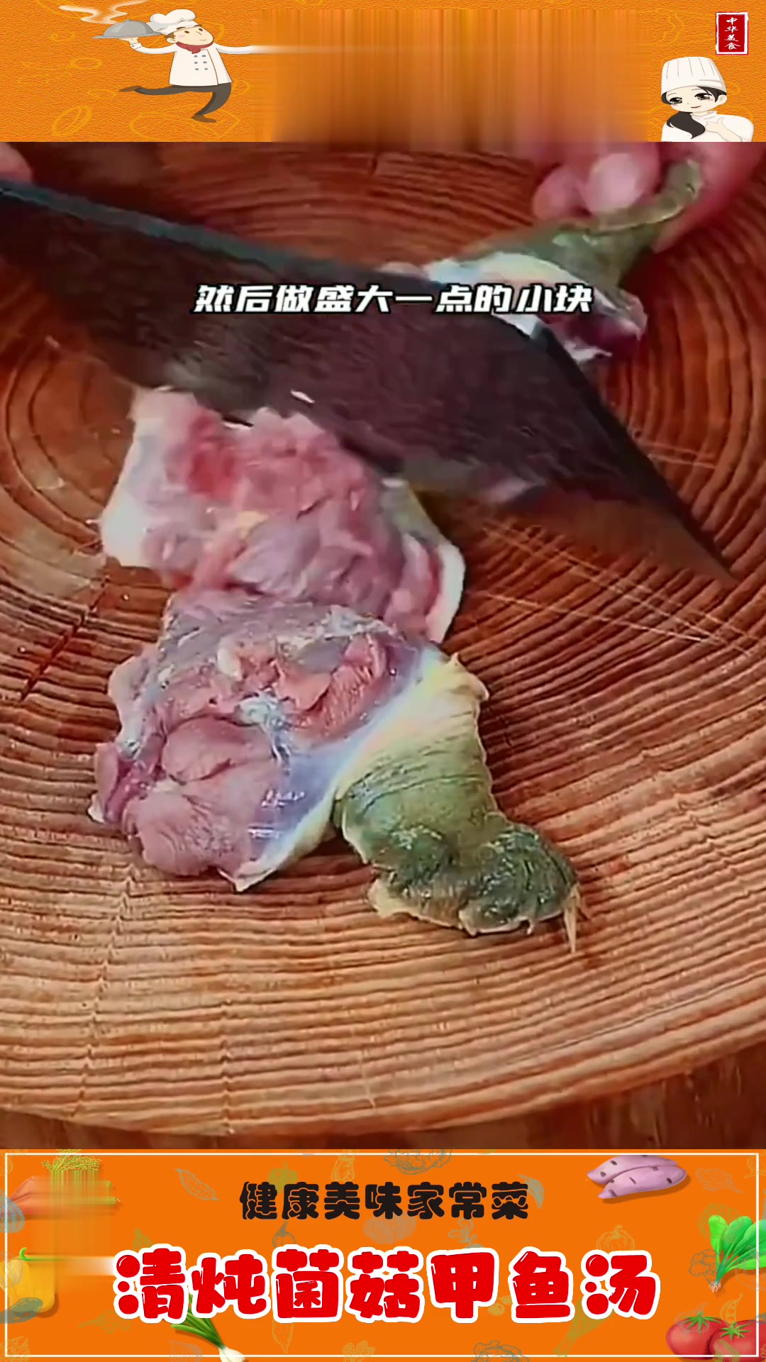清炖菌菇甲鱼汤