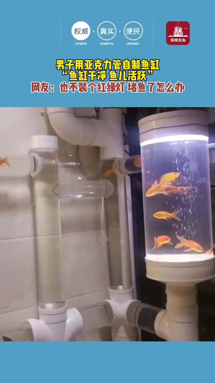 男子用亚克力管自制鱼缸,“鱼缸干净,鱼儿活跃” 郑州城市资讯台