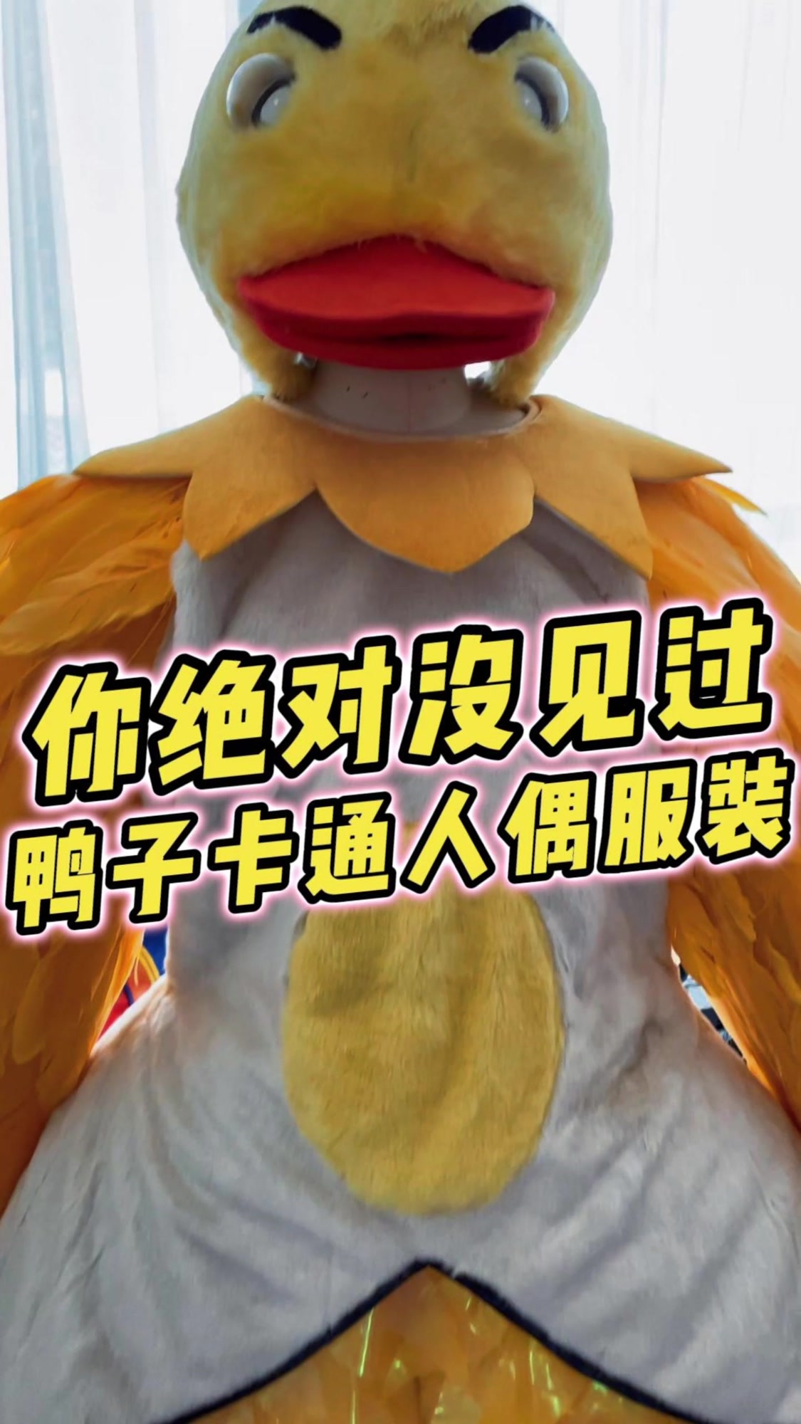 你绝对没见过鸭子卡通人偶服装