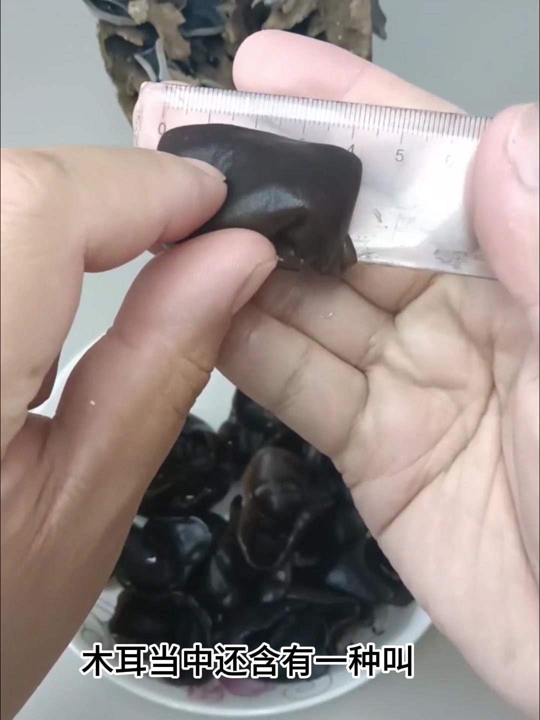 黑木耳的功效与营养价值