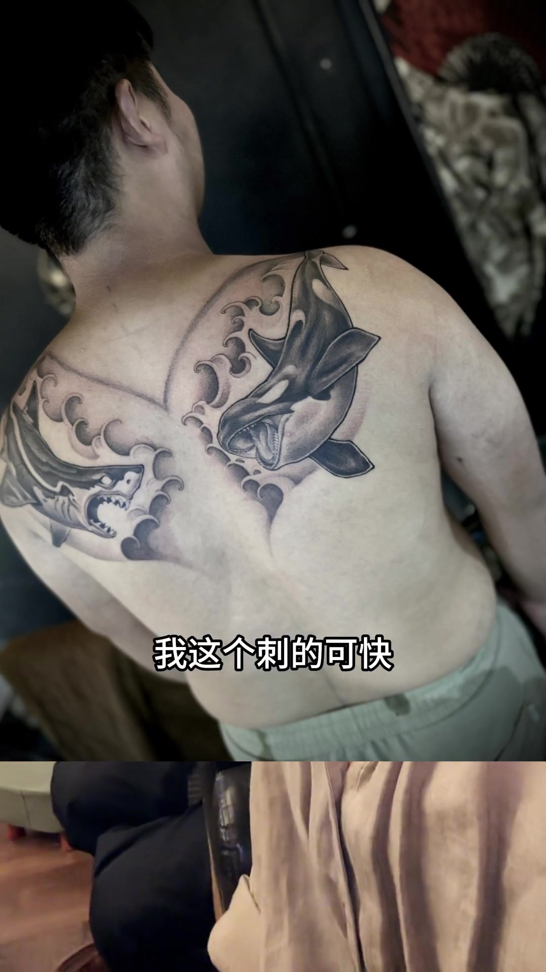 客人是双鱼座,要刺虎鲸和鲨鱼,梵梵给设计了一个大鱼尾包括在内。客人做水产生意的。适合这个图