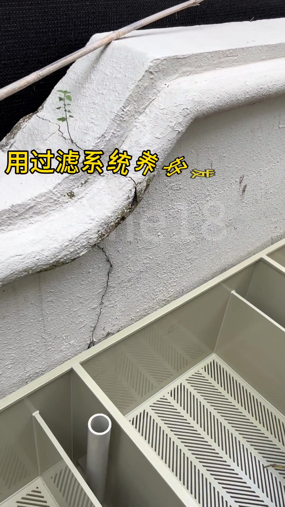 特质款锦鲤鱼池过滤系统免清洗循环水
