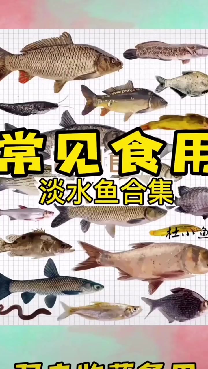 分享视频
