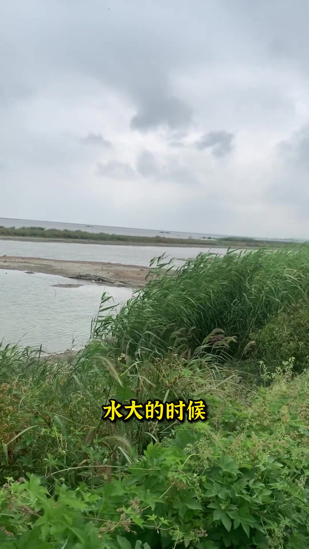 第3集|有人知道螃蟹吃什么的吗?螃蟹 大闸蟹 三农