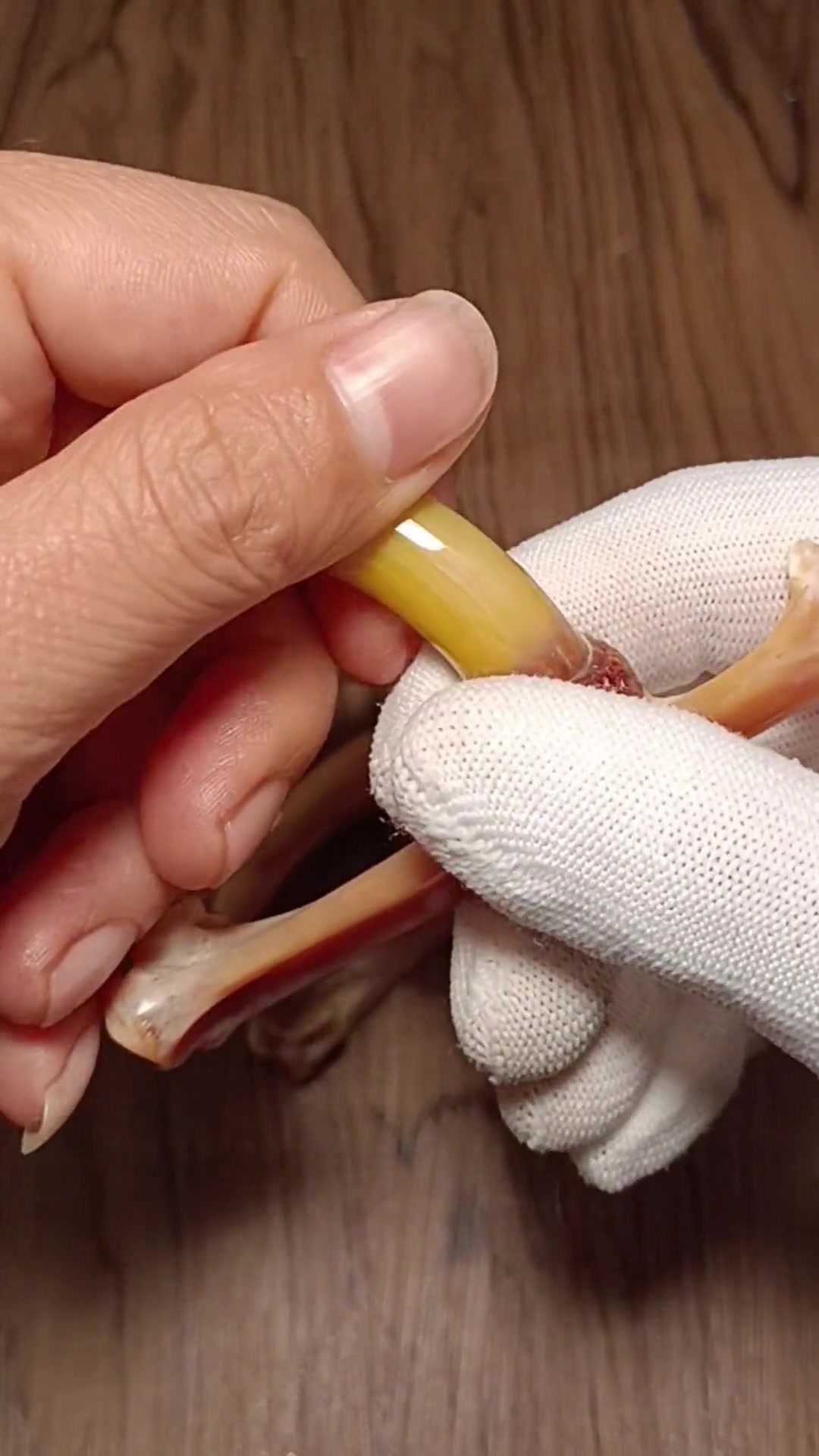 这三个黄金大钩鸡蹬子拉风不?创作灵感 鸡爪文玩如何盘玩 文玩鸡蹬子 文玩鸡爪骨 文玩鸡爪骨