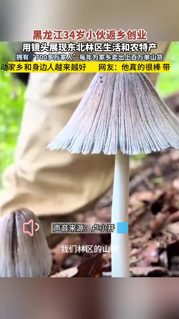 9月14日(发布),黑龙江双鸭山,34岁小伙返乡创业,每年为家乡卖出上百万单山货。乡村守护