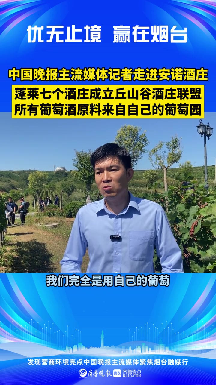 果然视频|蓬莱七个酒庄成立丘山谷酒庄联盟,葡萄酒原料均自产