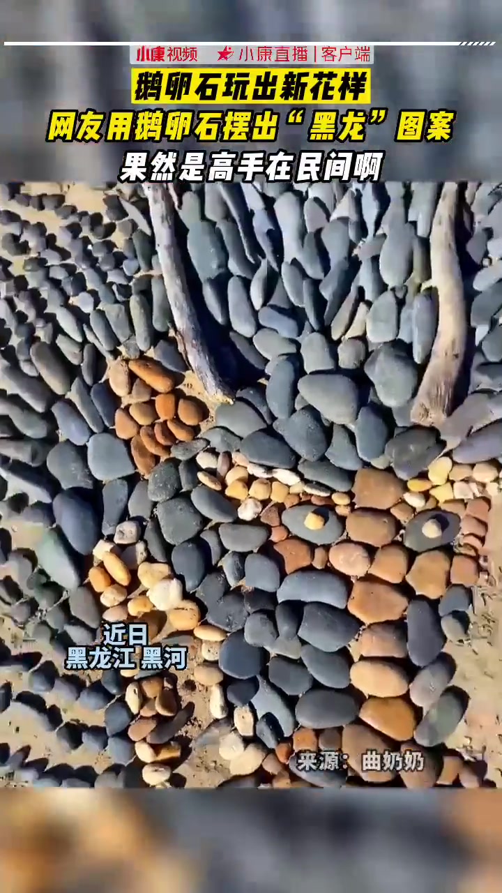 果然高手在民间!网友用鹅卵石摆出“黑龙”图案。鹅卵石