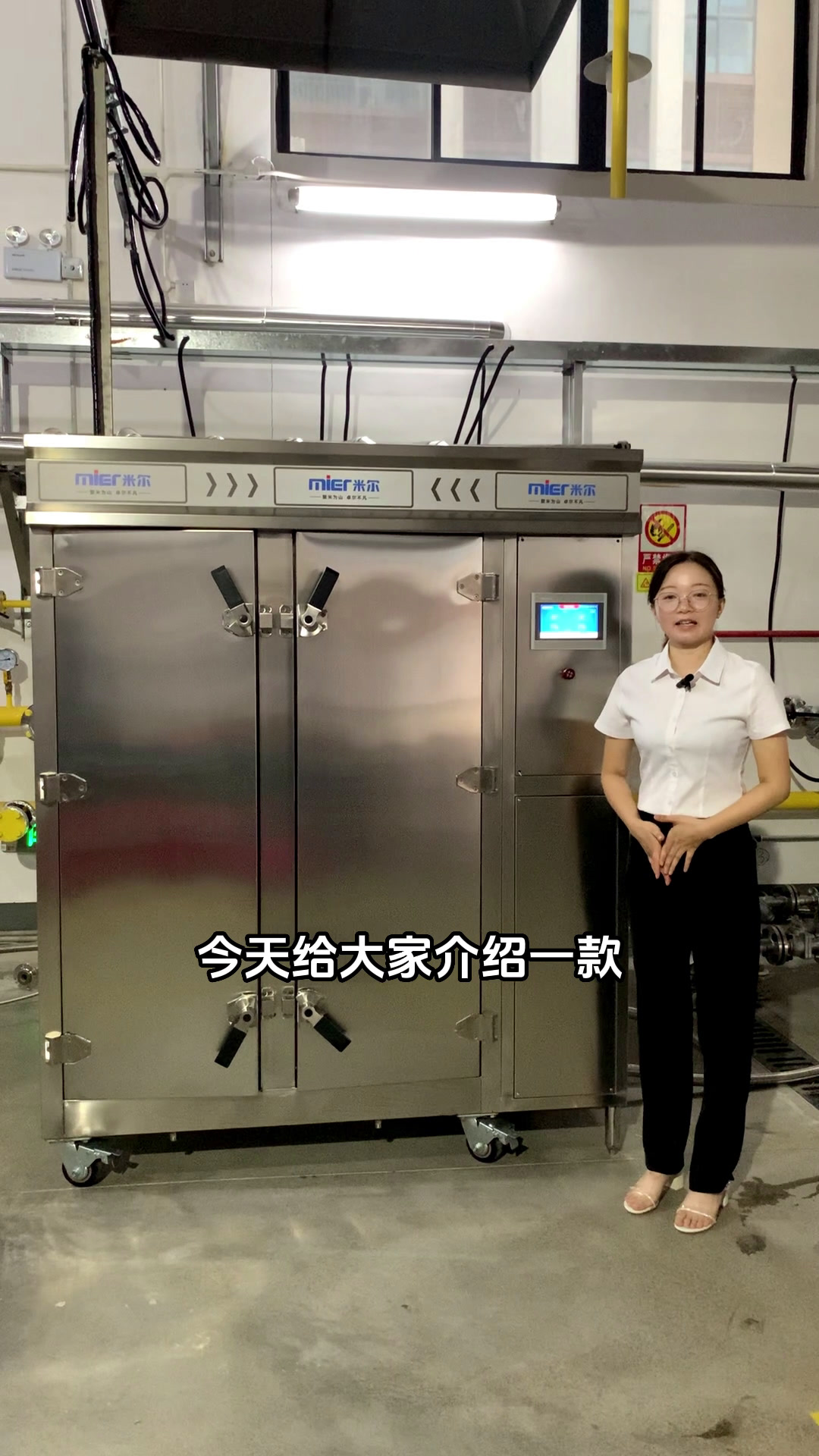 米尔双门20托的蒸柜