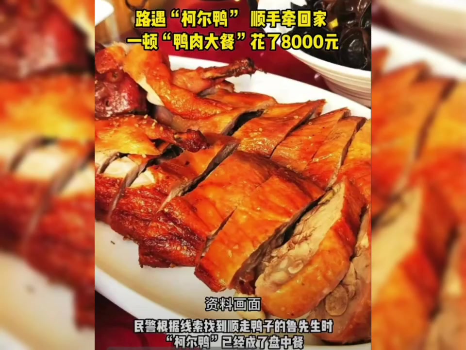 【顺只鸭子做大餐 最终赔了8000元】 近日,上海市公安局嘉定公安分局封浜派出所接到居民费
