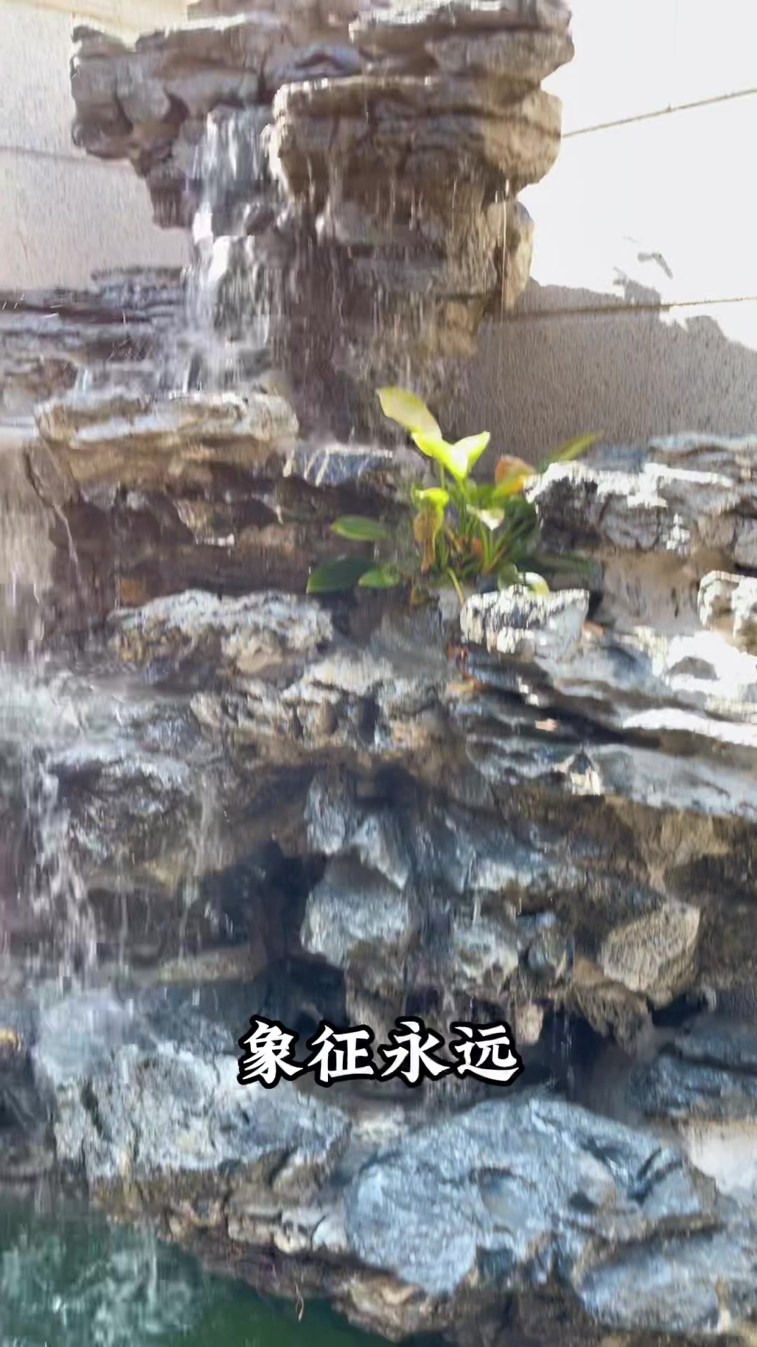 假山鱼池小桥流水,亲友间娱乐,这样的别墅庭院设计你喜欢吗