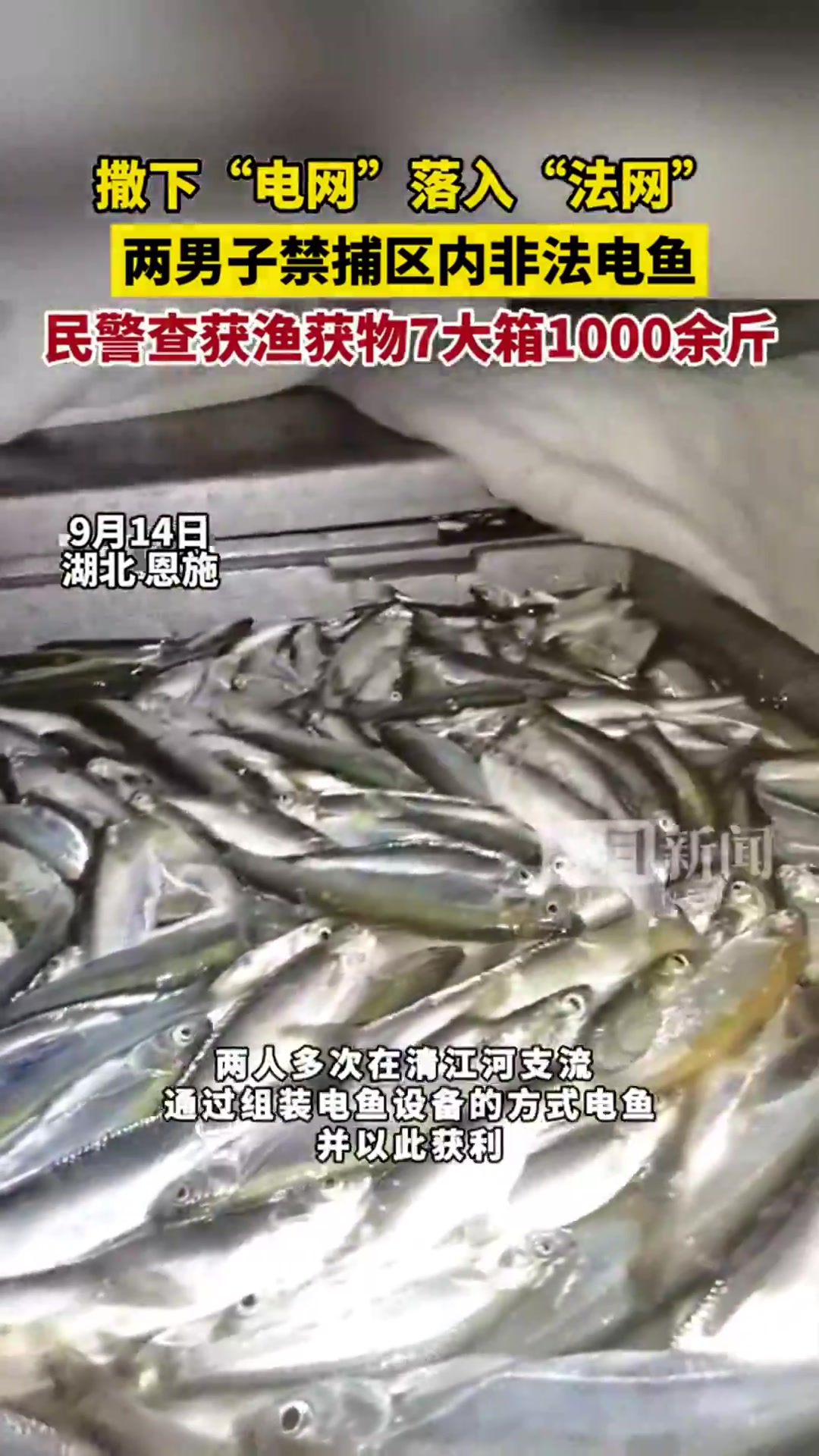 民警蹲守20余天 ,三人“电鱼”团伙终被端,当场查获7大箱1000余斤鱼