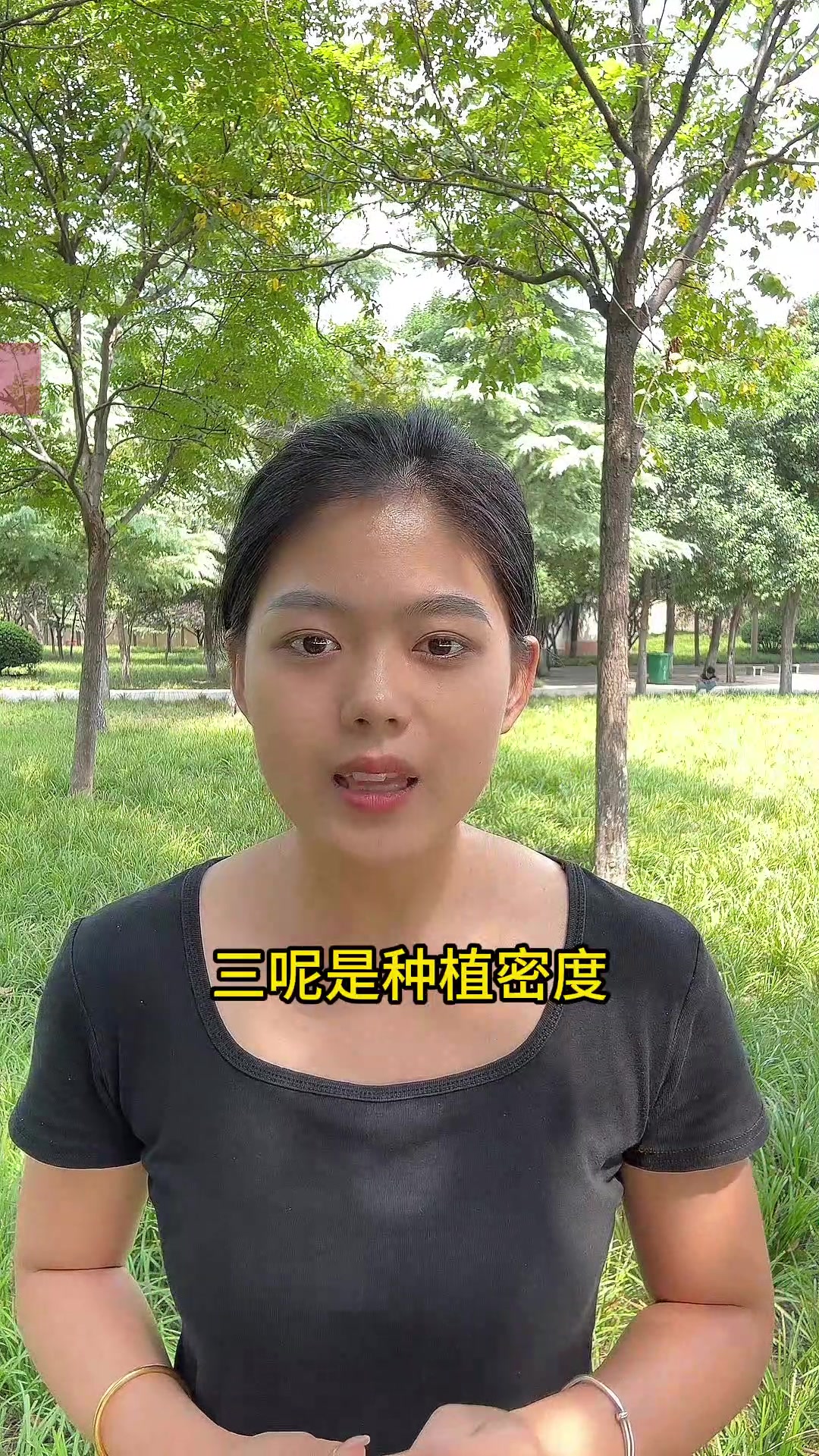 九月份种植花椰菜。掌握正确的种植技术,种出健康美味的花椰菜。