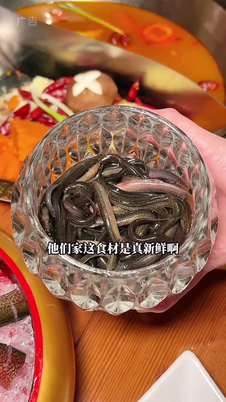 泥鳅钻豆腐我今天是见到了!川坝子这波真的给力!杭州美食 杭州探店 鲜货火锅 欢迎来杭州 全