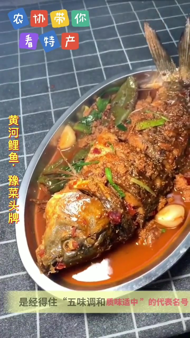 郑州黄河鲤鱼,南方人不吃这种鱼,北方人却趋之若鹜,是豫菜头牌,你们那里吃吗?特产 黄河大鲤