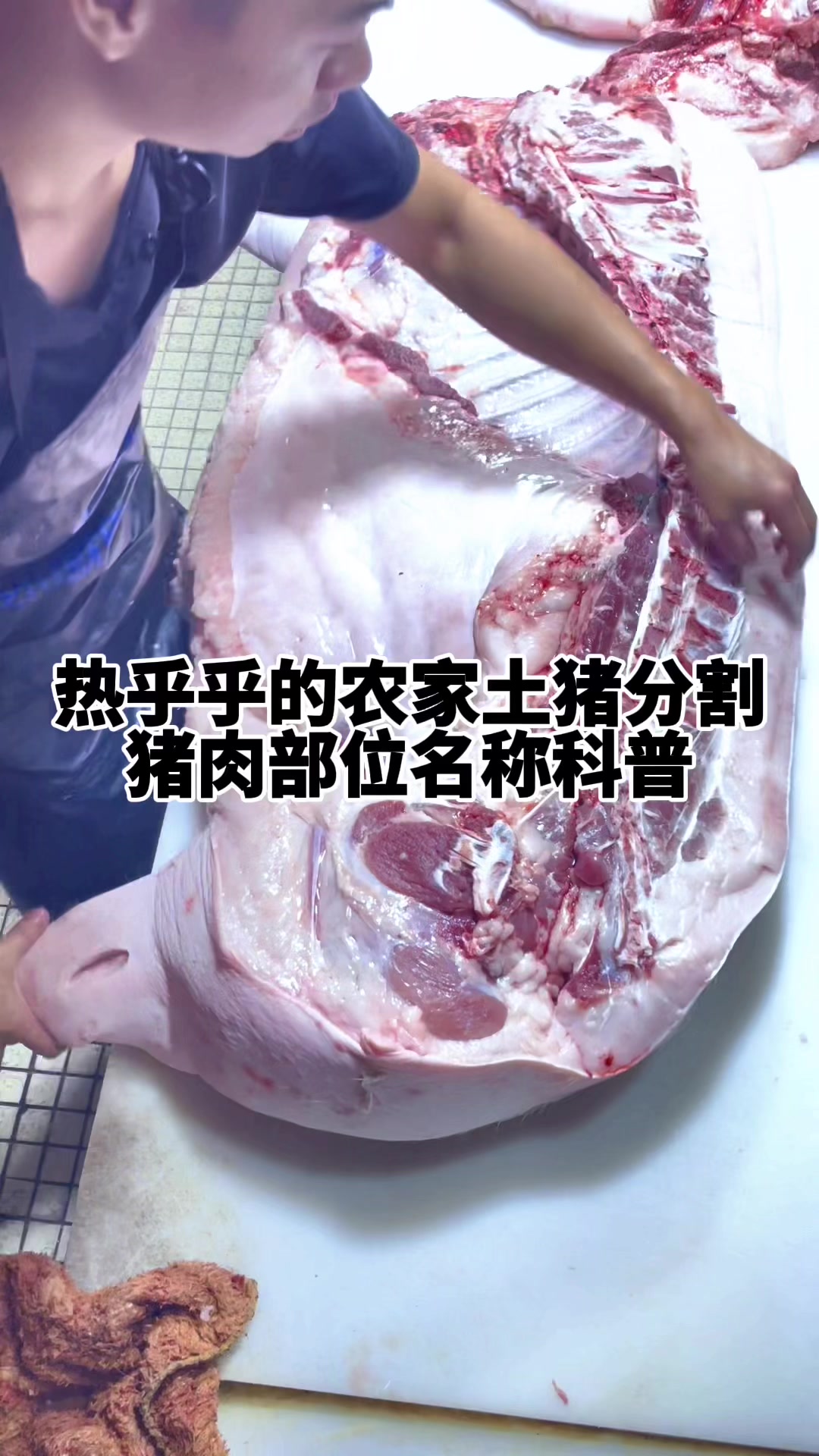 猪肉小哥分割农家猪肉,给大家科普猪肉各部位名称