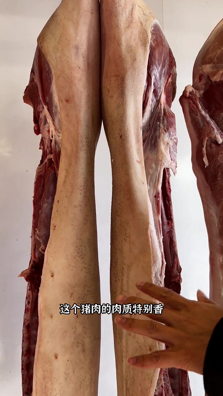 黑猪肉来了