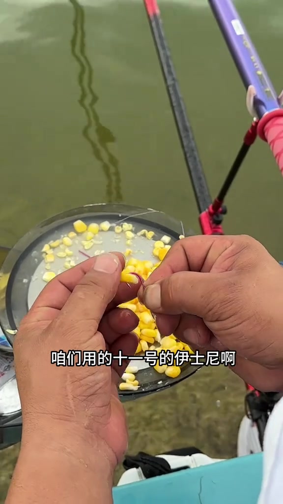 钓完鱼在河边做饭,和朋友们一起吃点土豆炖鸭肉