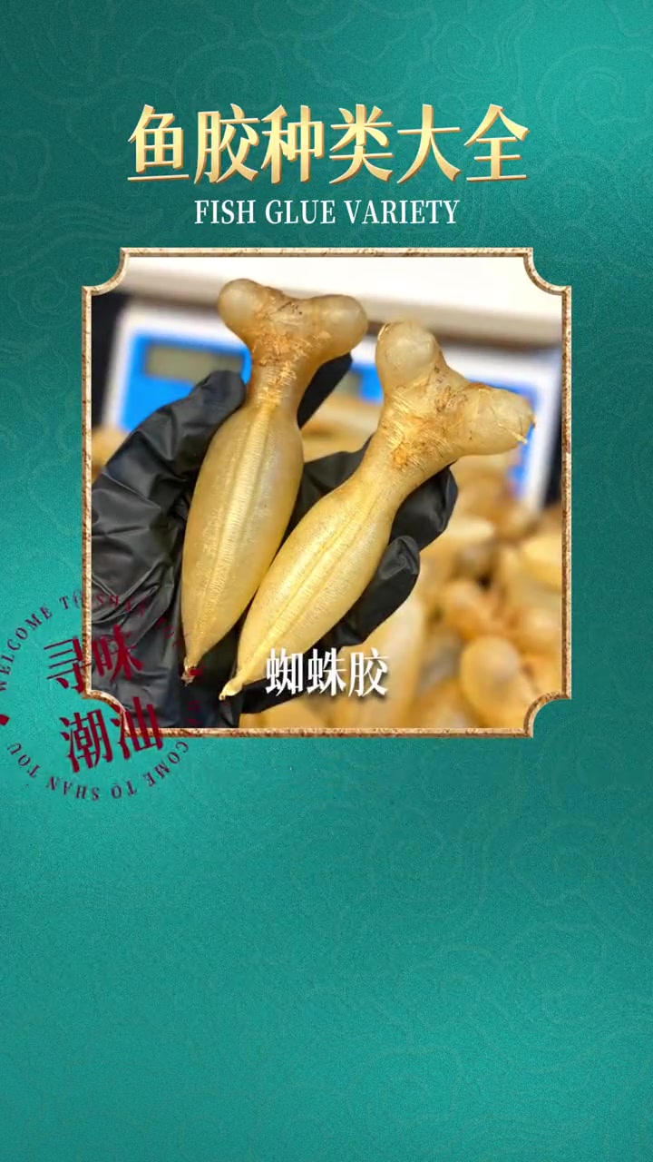 潮汕究竟有多少种鱼胶?超多避雷小技巧,评论区见 潮汕美食 潮汕的美食有多诱人 鱼胶