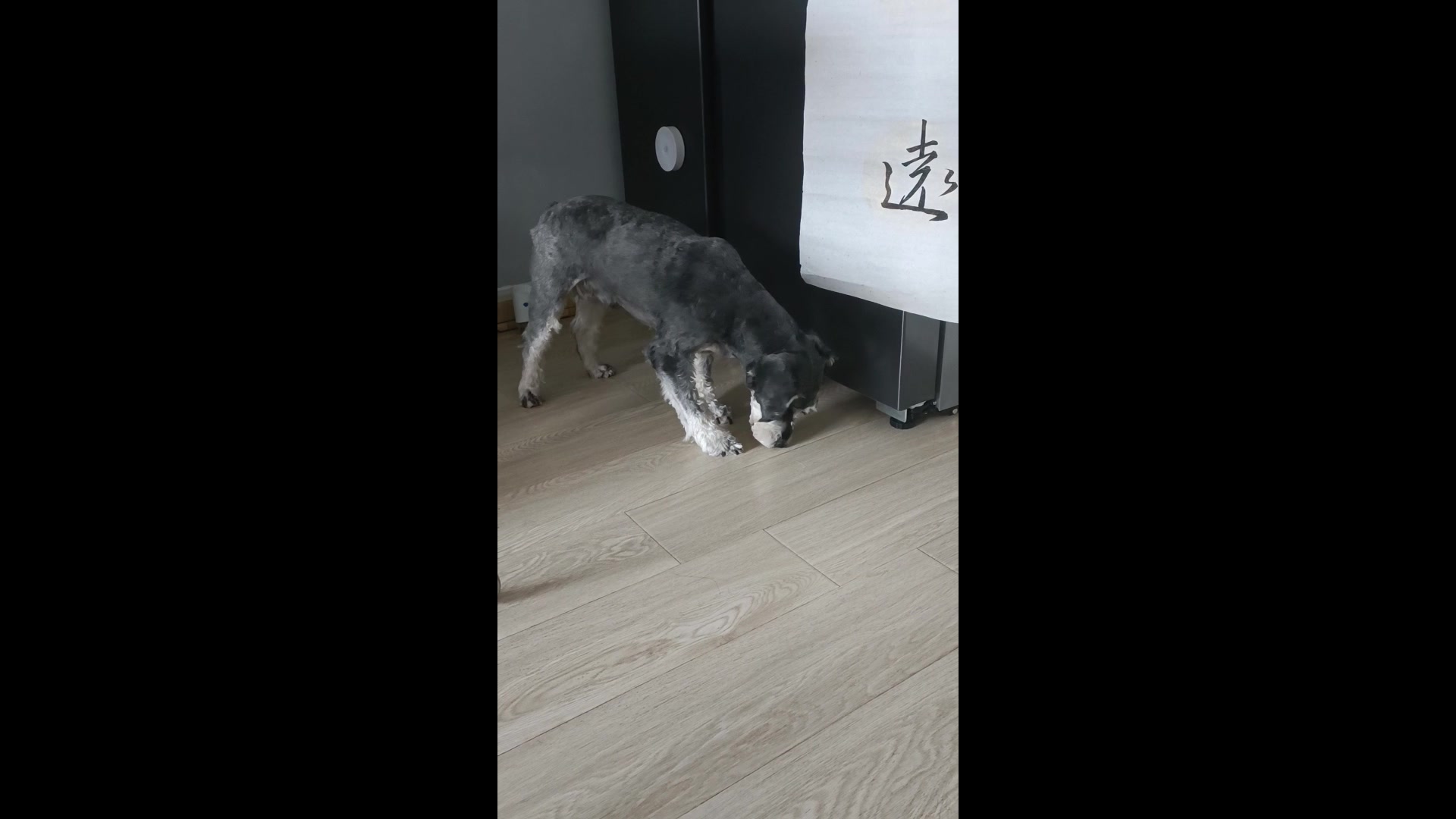 当生鸡蛋碎在了地上