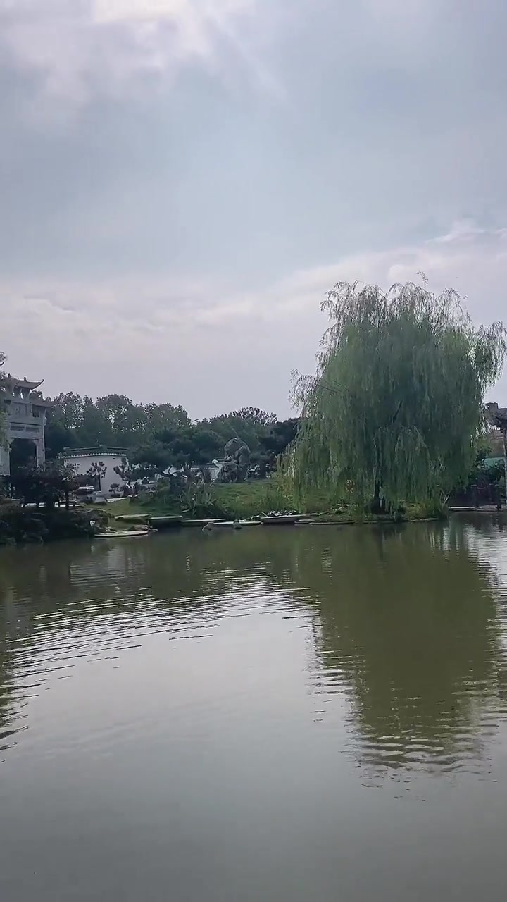 看天鹅 落日余晖映晚霞一抹夕阳美如画 黑天鹅 天青色等烟雨而我在等你 自渡自愈