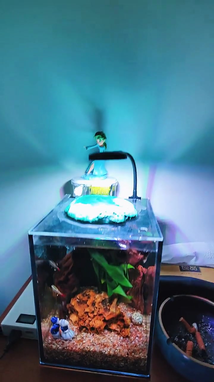K_scence的大中小鱼缸都集齐了,完美收官!不再添置鱼缸,鱼缸太多,鱼儿太多,需要太多