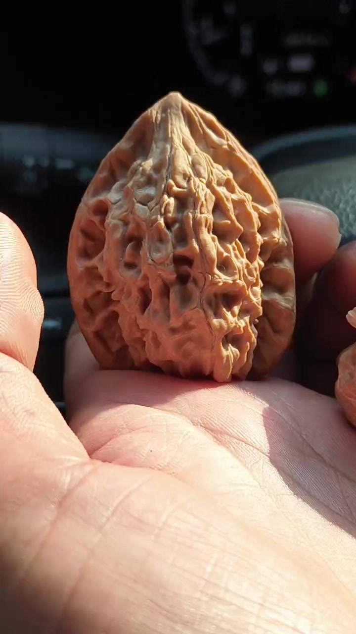 皮质超级好的一款野生鸡心