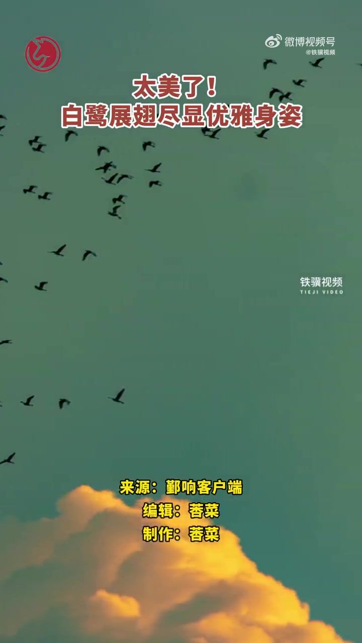 「太美了!白鹭展翅尽显优雅身姿」9月17日,浙江宁波。鄞州区东钱湖夕阳西下,风光无限好,一