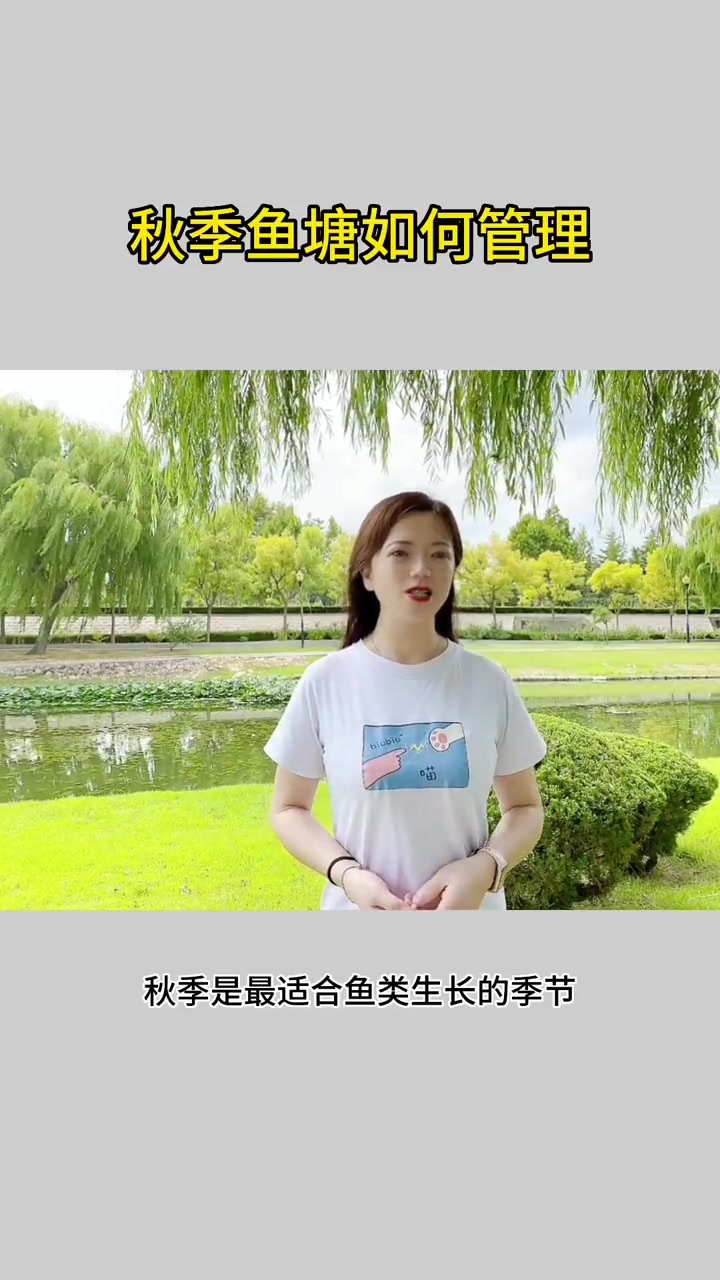 秋季鱼塘如何管理 四大家鱼养殖 鱼虾蟹养殖 高密度养殖 海参养殖技术