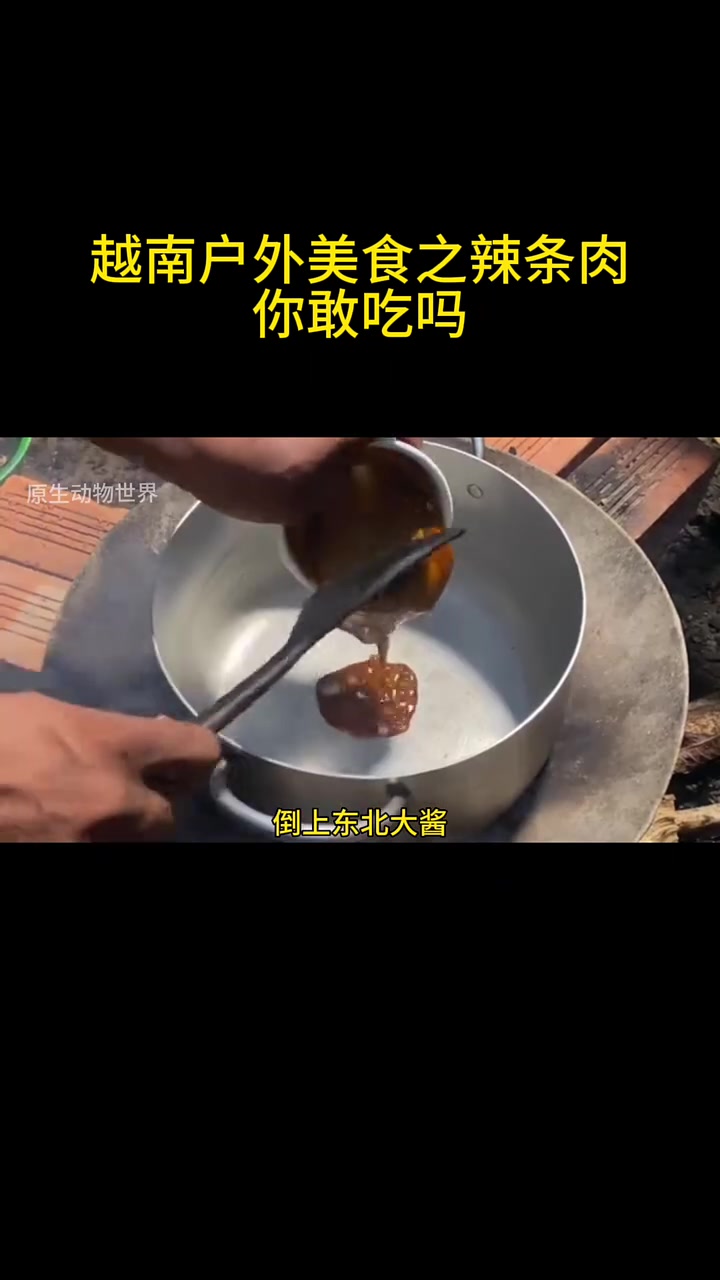 越南户外奇葩美食辣条肉 赶山赶海