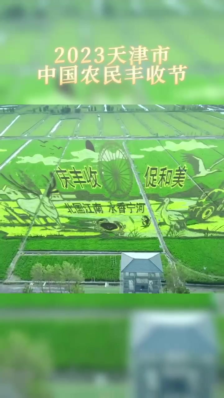 今年9月23日将迎来第六个中国农民丰收节。为办好中国农民丰收节,天津市农业农村委围绕“庆丰