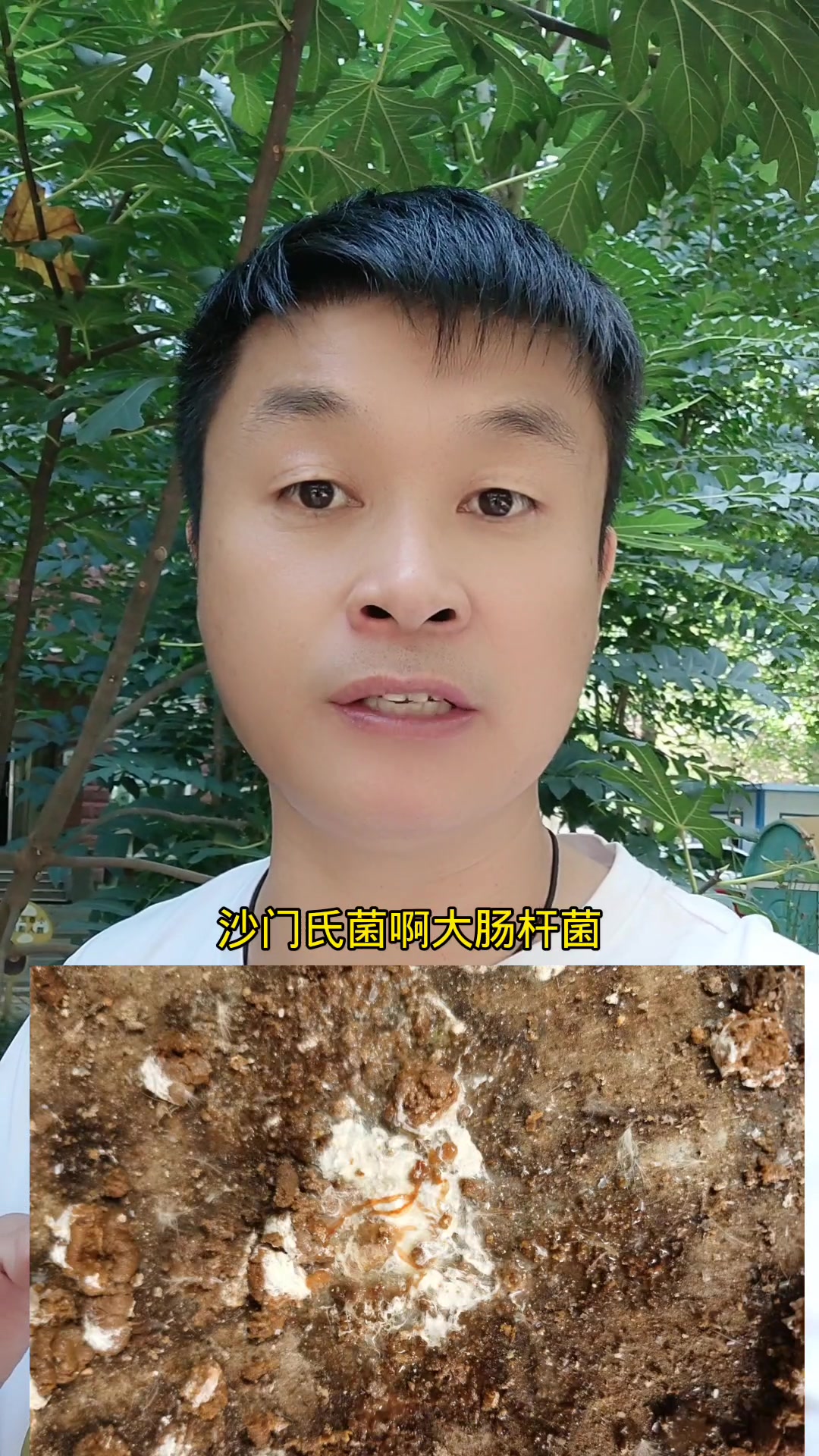 学会看粪便,养鸡就成功了一半