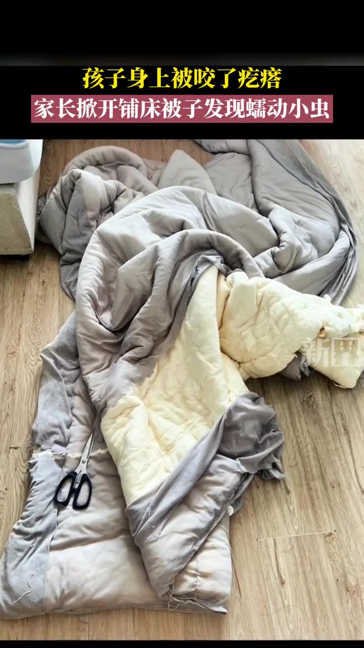 家长把铺床被子拆开后,在棉花里发现蠕动小虫,有网友表示,这是蠹虫。床上物品要定期清洁晾晒。