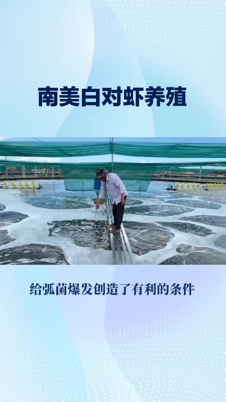 暴风雨过后弧菌爆发的原因