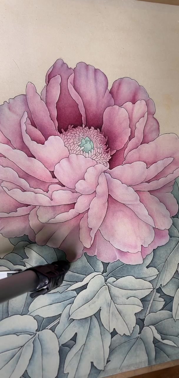牡丹白描底稿宝宝们抓紧时间抢购吧!