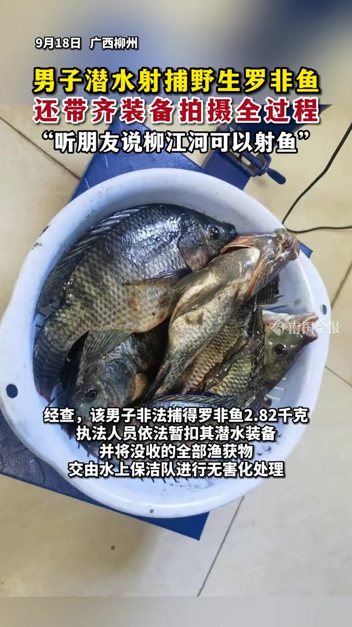 柳州男子潜水射捕野生罗非鱼,还带齐装备拍摄全过程:听朋友说柳江河可以射鱼 非法捕捞 柳州