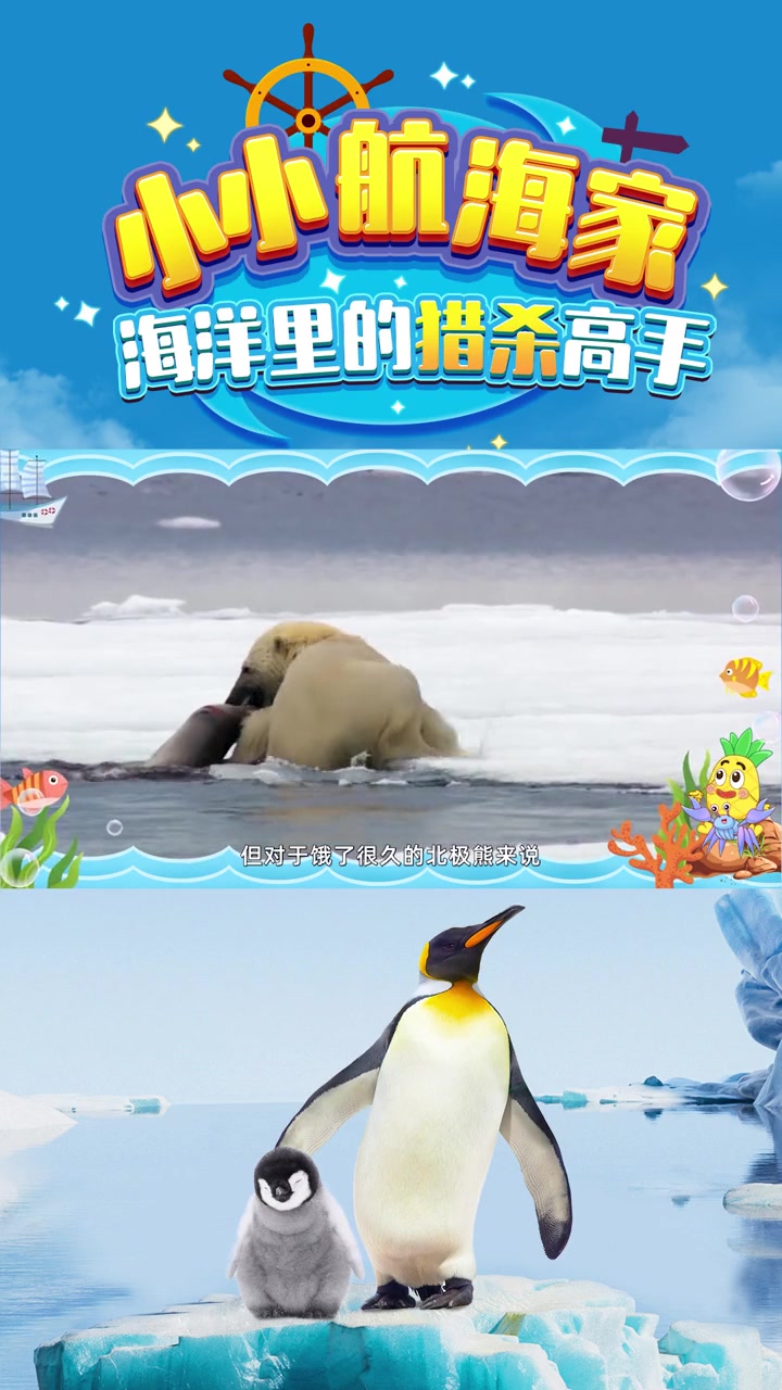 你知道陆地上最大的食肉动物——北极熊,它喜欢吃什么吗?北极熊 海洋生物 给孩子看的小知识 