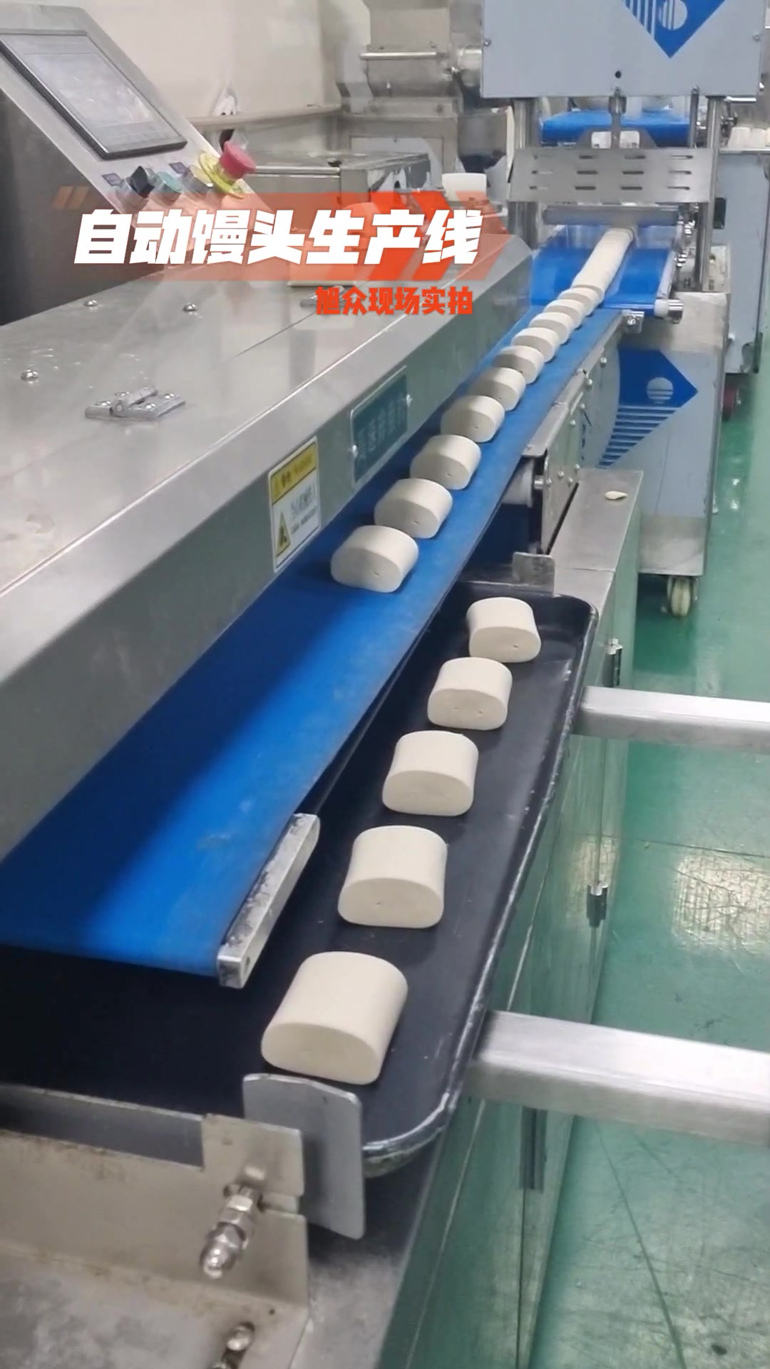 馒头房做馒头与包子仿手工卷面式包子馒头机