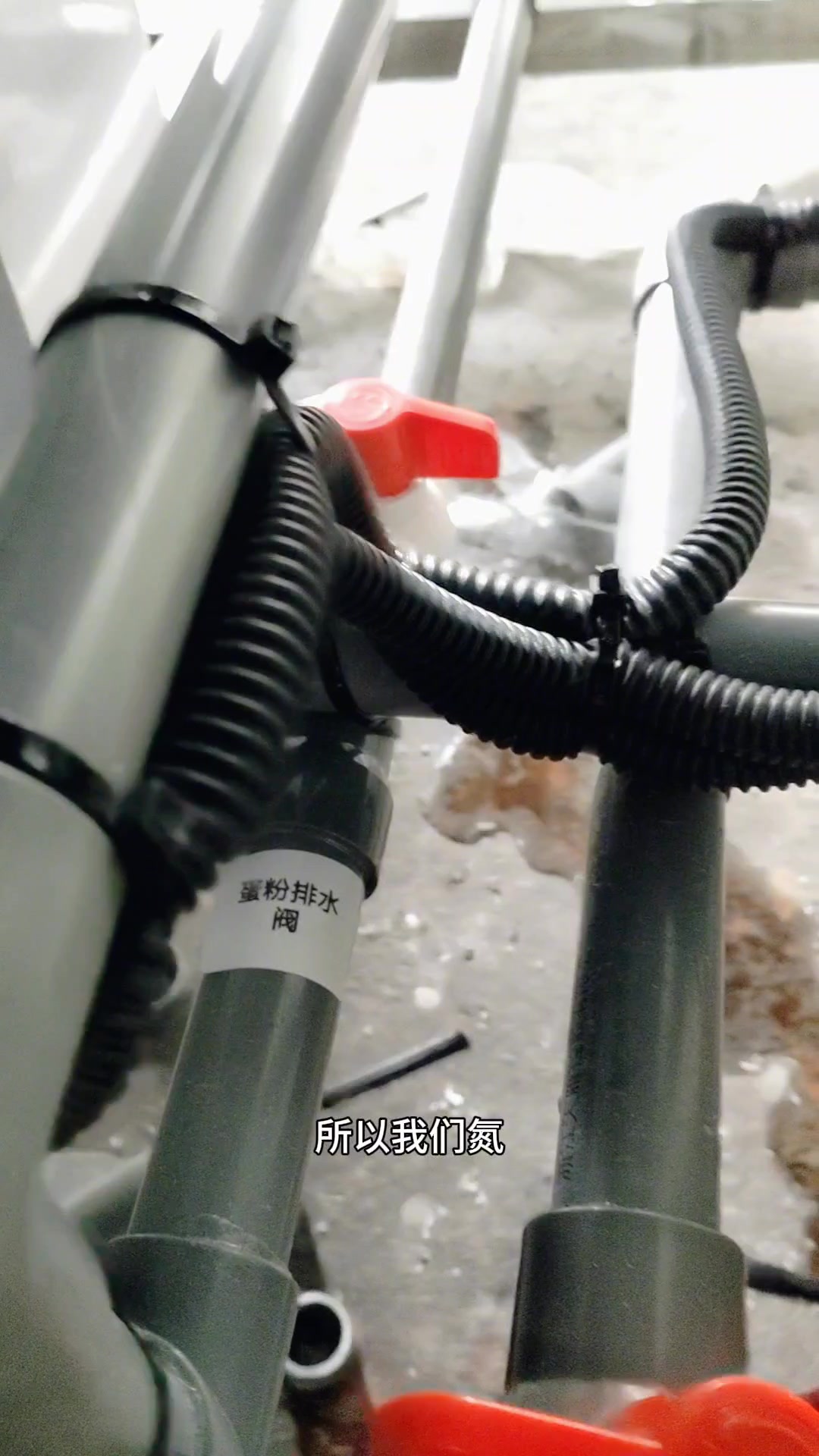 平层贝类缸如何操作?移动海鲜池使用方法 超市饭店海鲜缸