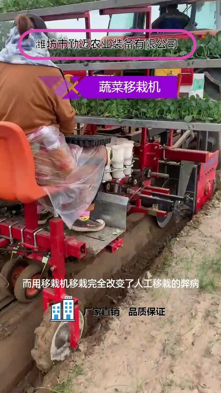 多功能蔬菜移栽机,蔬菜移栽机,型号齐全 欢迎选购
