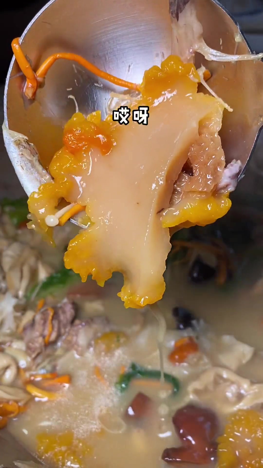 济南一家正宗云南石锅鱼 山东生活日记 地方特色美食