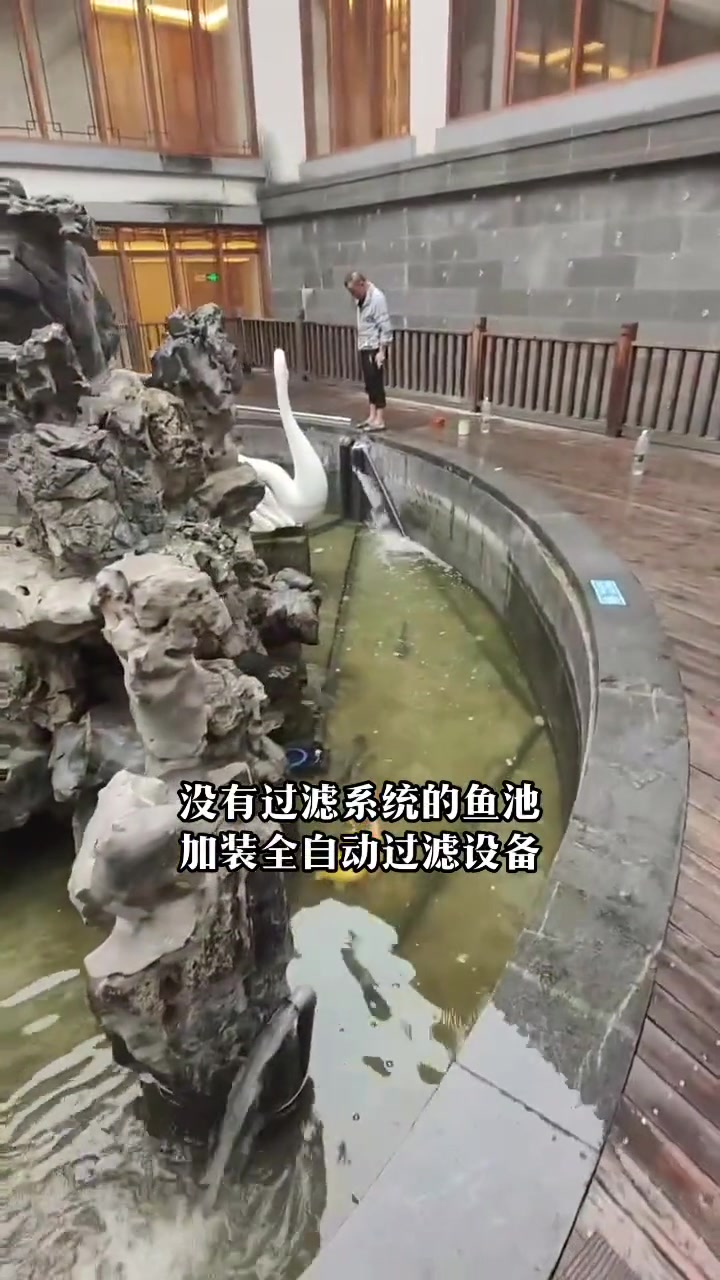 一个酒店中庭里面的鱼池,原本没有过滤系统,现加装全自动智能过滤设备。庭院鱼池 鱼池假山 鱼