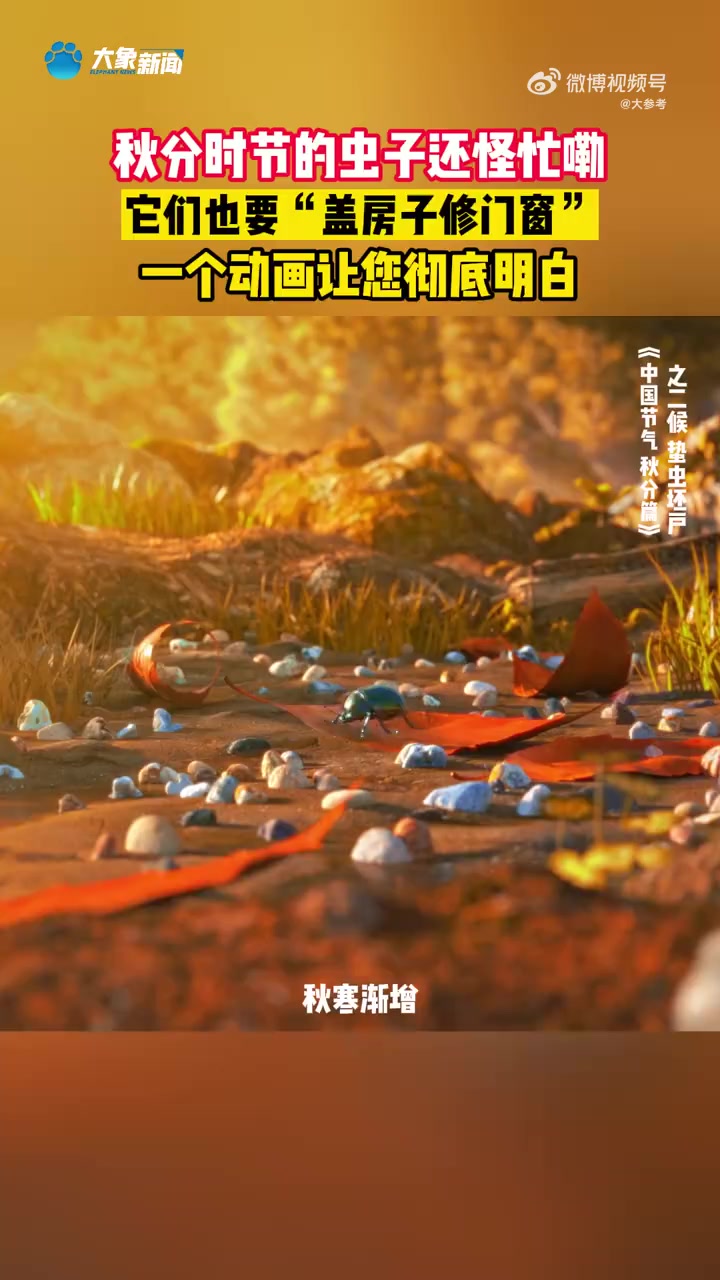 「不一样的中国节气——蛰虫忙着盖房修门窗的样子好治愈」“白露秋分夜,一夜冷一夜”。秋分以后