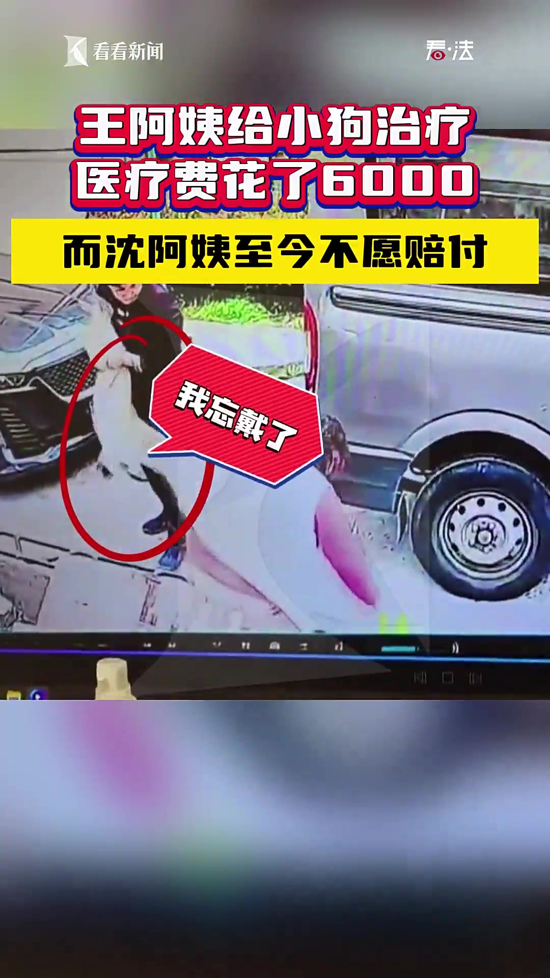 狗凶狗,狗咬狗,因为遛狗引发官司怎么办?
