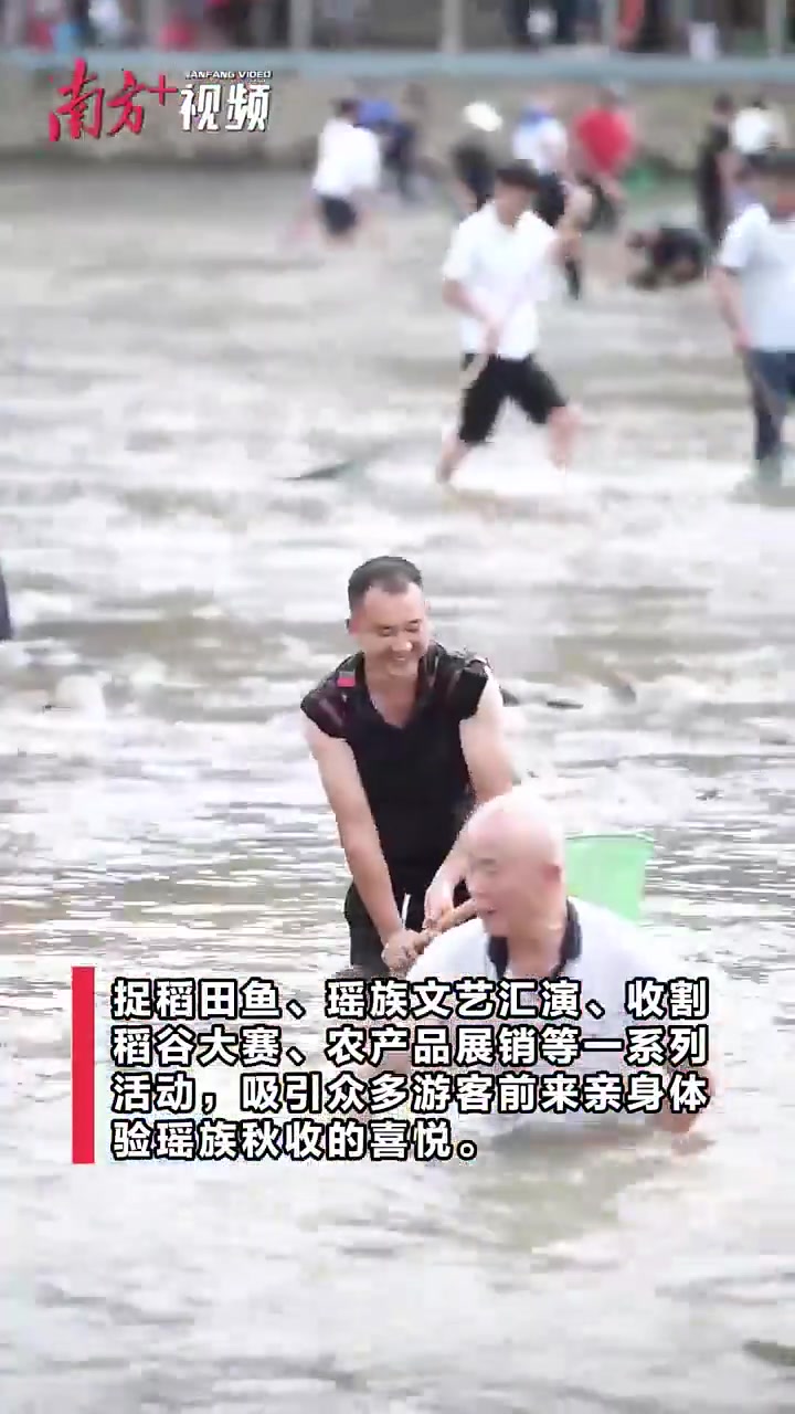 视频|正是瑶山好“丰”景,稻香鱼肥又逢君