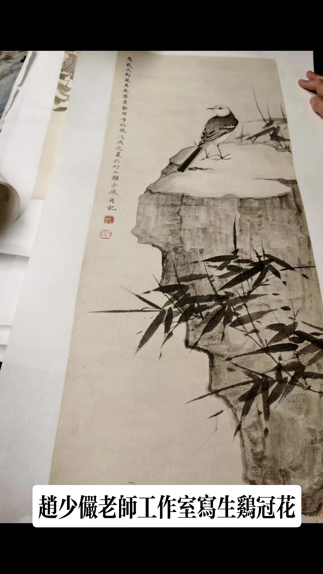 赵少俨老师工作室写生鸡冠花