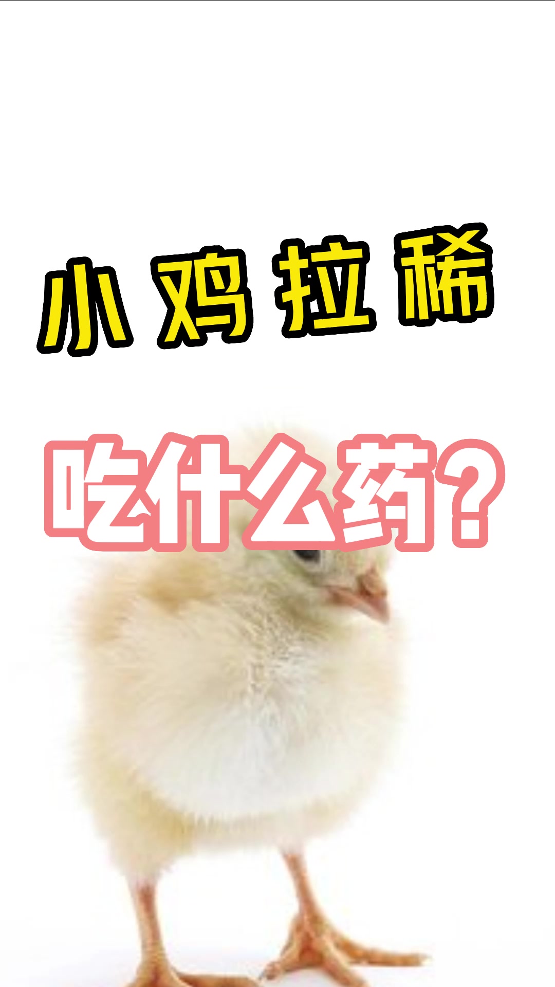 小鸡拉稀吃什么药